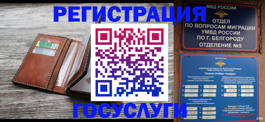 прописка 2025 в Славянске-на-Кубани
